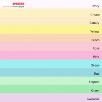 Бумага цветная Color A4 пастель 80г./м2. Canary, 100листов, св.-желт. Бумага цветная Color A4 пастель 80г./м2. Canary, 100листов, св.-желт.